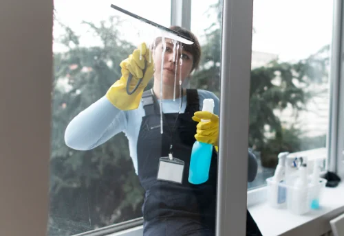 Nettoyage de vitres intérieures et extérieures à la Mesnière